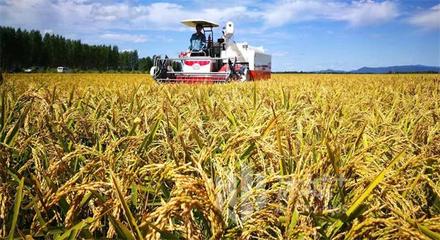 超25亿元销售额背后的“互联网+”新引擎 冰城优质农产品网络热销启示录