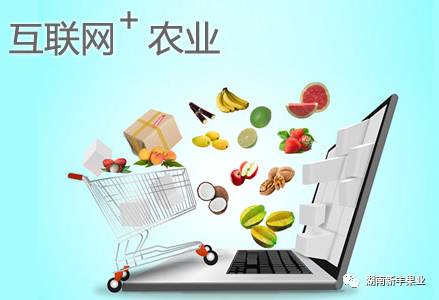 互联网+农业模式下农产品营销策略与网上销售路径