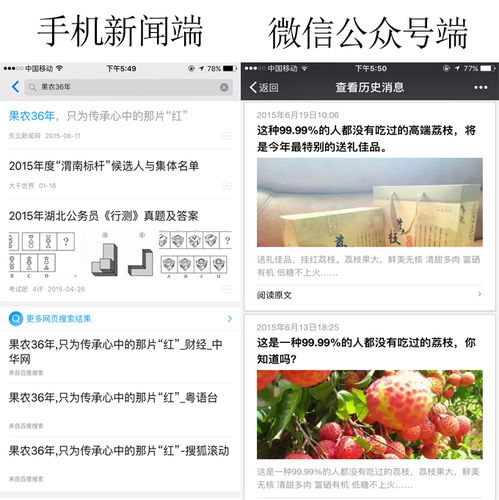 惠州高端农产品牌网络营销案例详解 从田间到指尖的转型之路