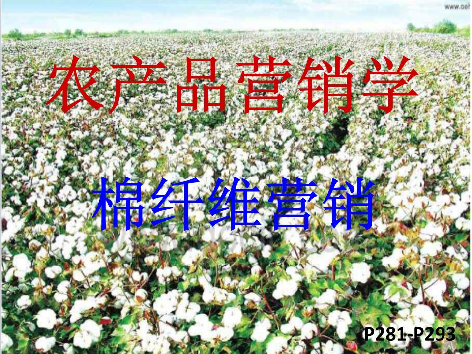 农产品营销学概要 网上销售农产品的理论与实践