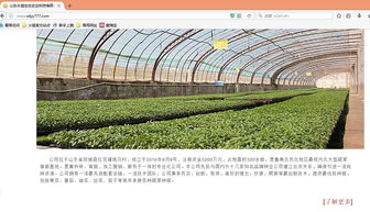 乘风破浪队 山东师范大学团队探索互联网视角下的农产品销售新模式