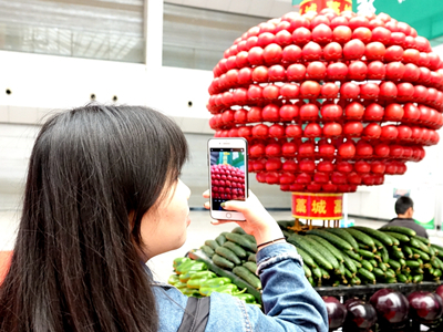 白花蛇舌草种植与网上销售全攻略